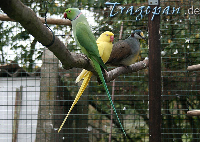 zurck - klick auf das Bild