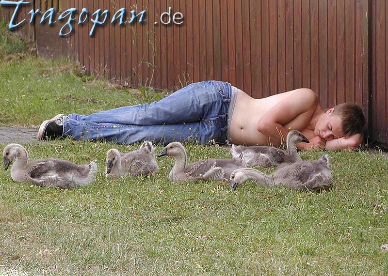 zurck - klick auf das Bild