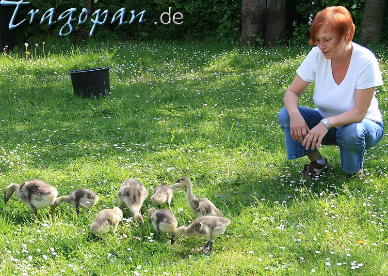 zurck - klick auf das Bild