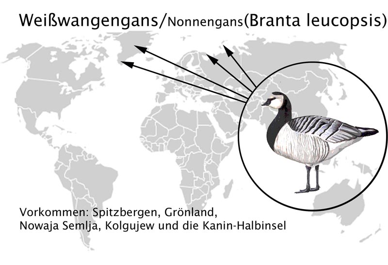 zurck - klick auf das Bild