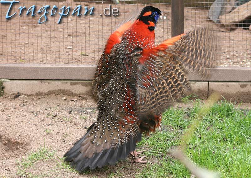 zurck - klick auf das Bild