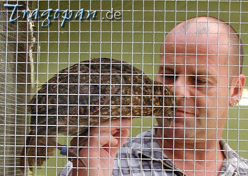 zurck - klick auf das Bild