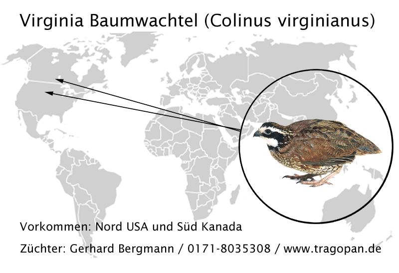 zurck - klick auf das Bild