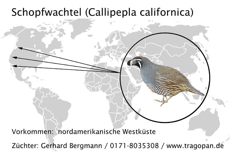 zurck - klick auf das Bild