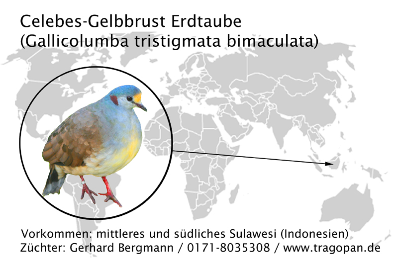 zurck - klick auf das Bild