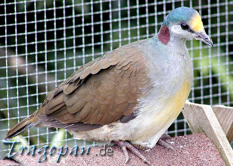 zurck - klick auf das Bild