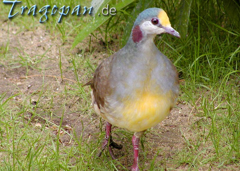 zurck - klick auf das Bild